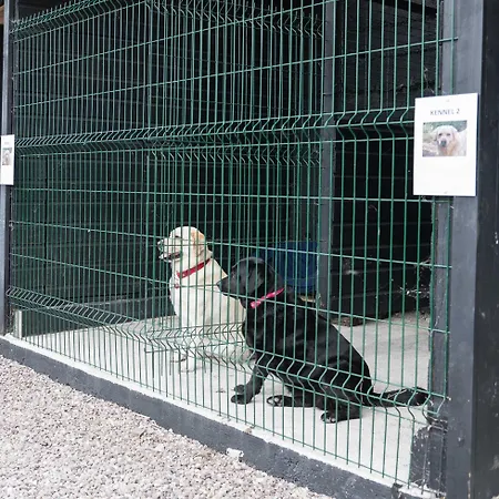 الضيافة جبريل هاوس 4* كورك