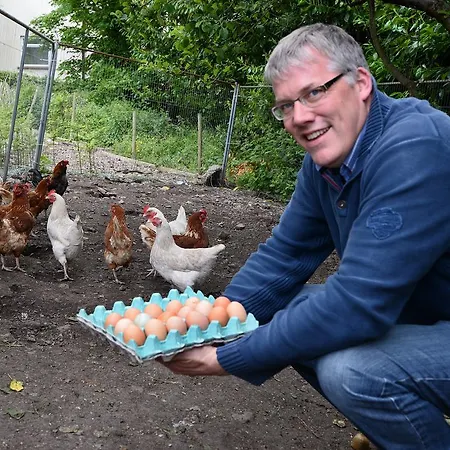 الضيافة جبريل هاوس فندق مبيت وإفطار