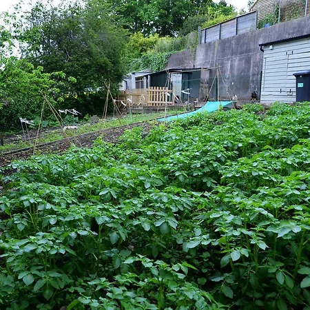 فندق مبيت وإفطار الضيافة جبريل هاوس