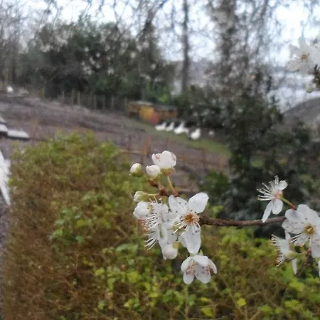 فندق مبيت وإفطار الضيافة جبريل هاوس 4*