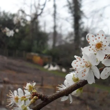 فندق مبيت وإفطار الضيافة جبريل هاوس