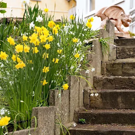 الضيافة جبريل هاوس فندق مبيت وإفطار كورك