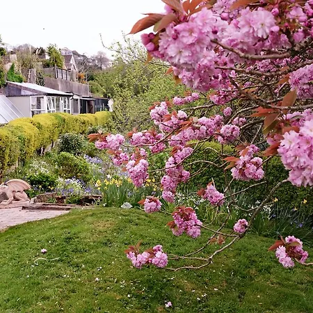 الضيافة جبريل هاوس فندق مبيت وإفطار