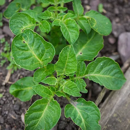 الضيافة جبريل هاوس كورك