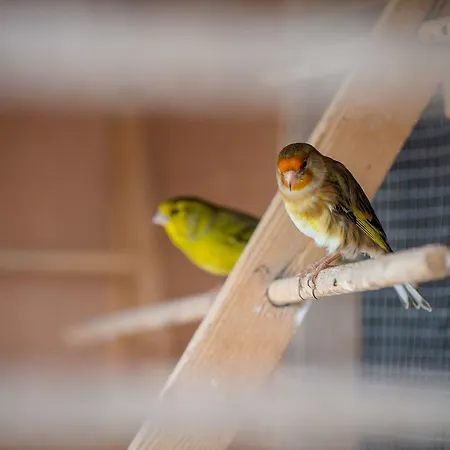 الضيافة جبريل هاوس فندق مبيت وإفطار كورك