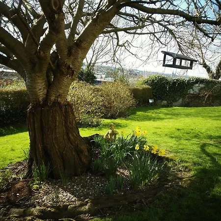 فندق مبيت وإفطار الضيافة جبريل هاوس