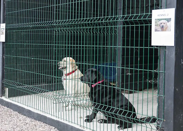 Gabriel House 4* Корк