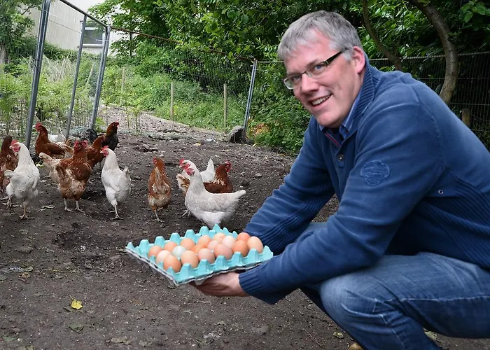 Gabriel House Отель типа 