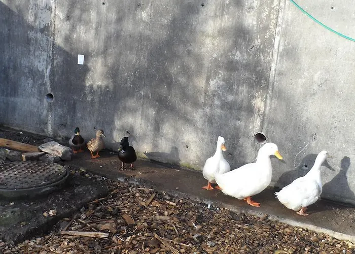 Gabriel House Отель типа 