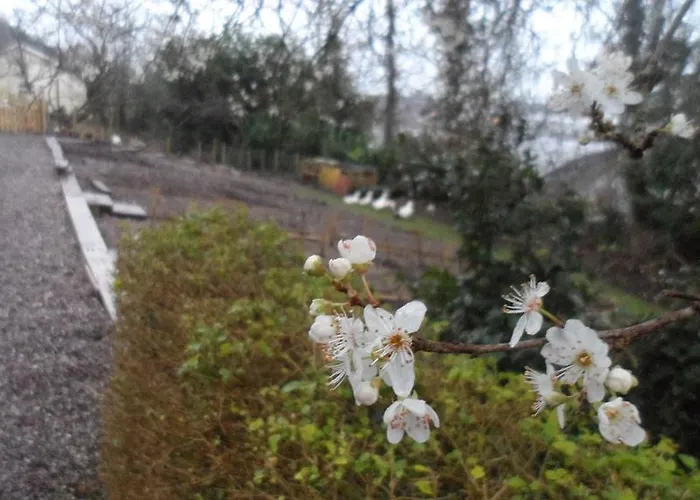 Frühstückspension Gabriel House 4*