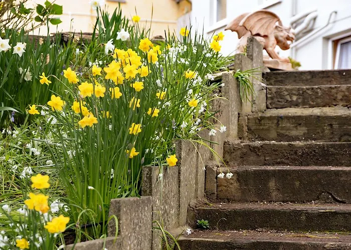 Gabriel House Frühstückspension Cork