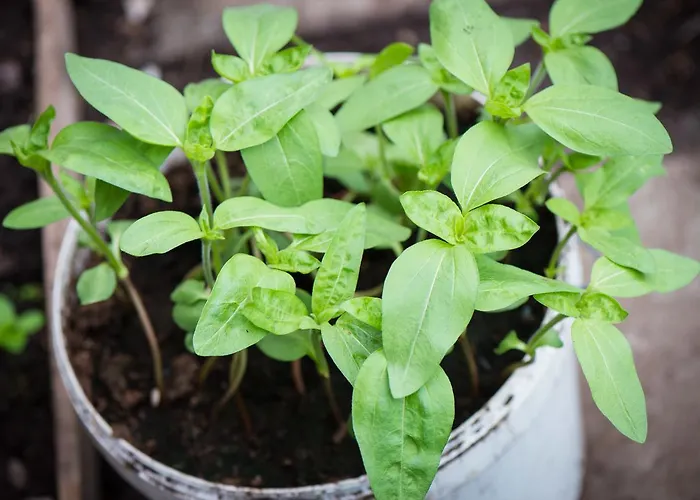 Gabriel House Отель типа 