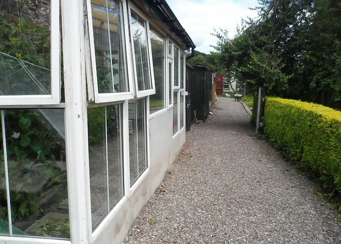 Gabriel House Корк